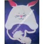 WOOLEN ANIMAL HATS-6 PCS