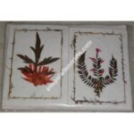 HANDMADE FLOWER CARD-6 PACKET